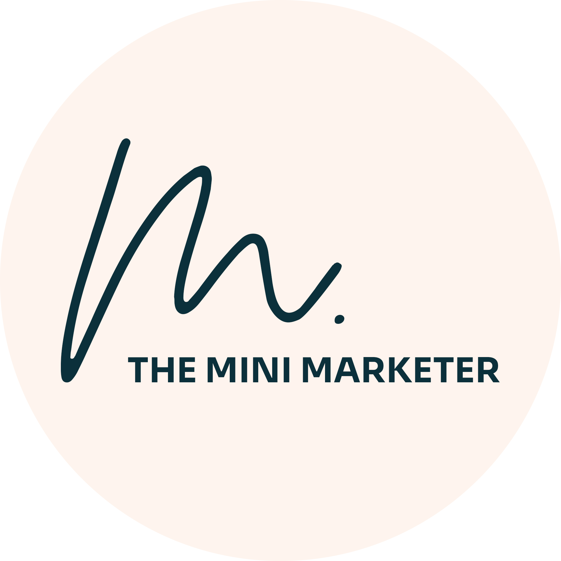THE MINI MARKETER